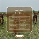 Load image into Gallery viewer, Gir Cow Ghee