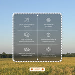 Load image into Gallery viewer, Khapli (Emmer) Wheat Atta