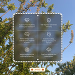 Load image into Gallery viewer, Yellow Mustard Oil