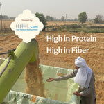 Load image into Gallery viewer, Khapli (Emmer) Wheat Atta