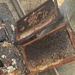 Load image into Gallery viewer, Multifloral Honey