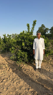 One Generation To Another