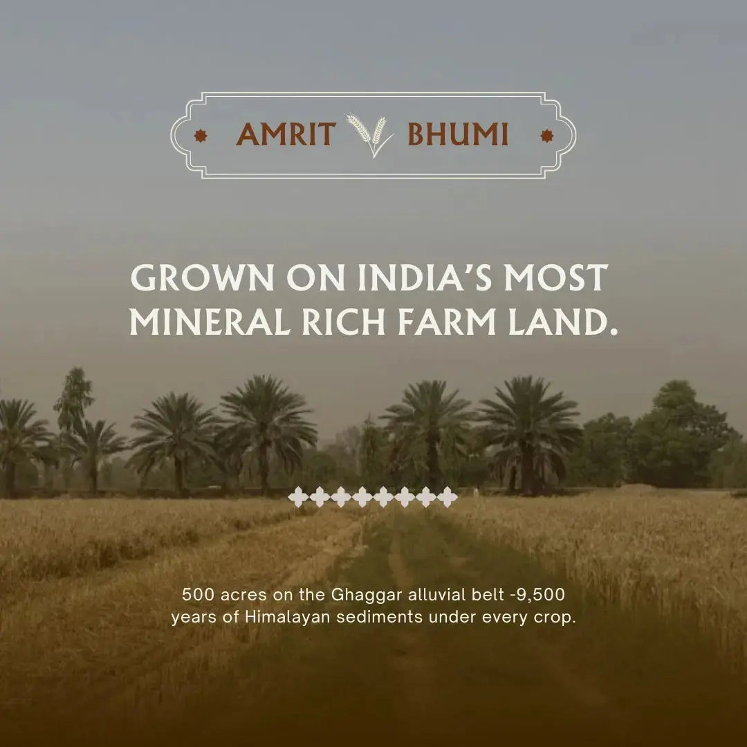 Khapli (Emmer) Wheat Atta