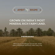 Khapli (Emmer) Wheat Atta