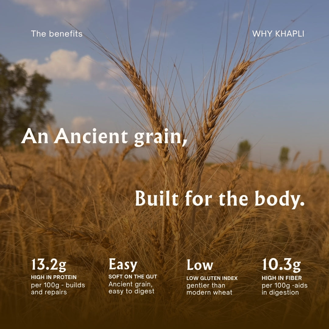 Khapli Atta for Weight Loss