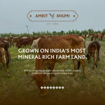 Load image into Gallery viewer, A2 Sahiwal Ghee