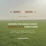 Load image into Gallery viewer, Black Mustard Oil