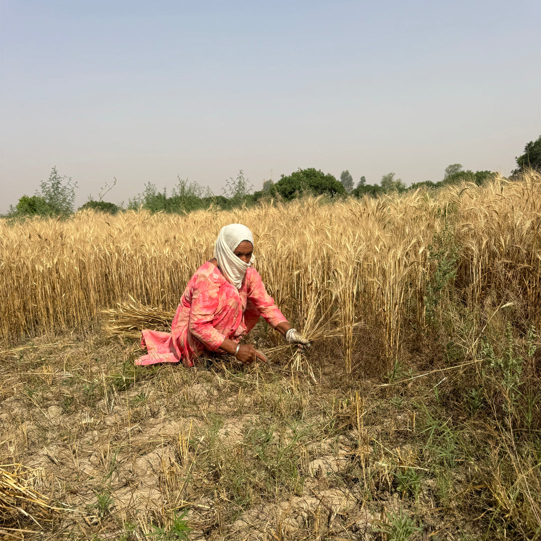 Khapli (Emmer) Wheat Atta